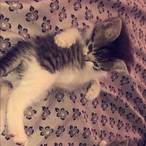 Meet your Posher, Jada